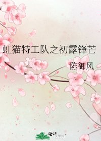 虹猫特工队之初露锋芒
